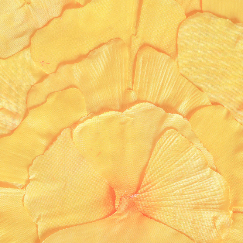 Floral Placemat Set of 2