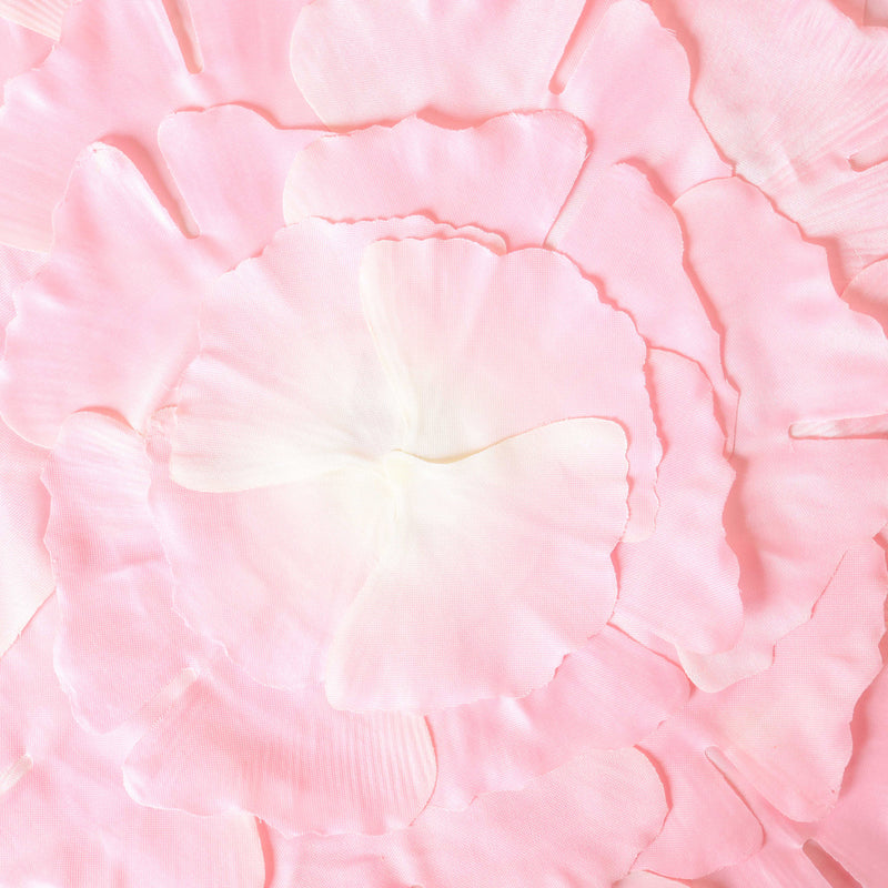 Floral Placemat Set of 2