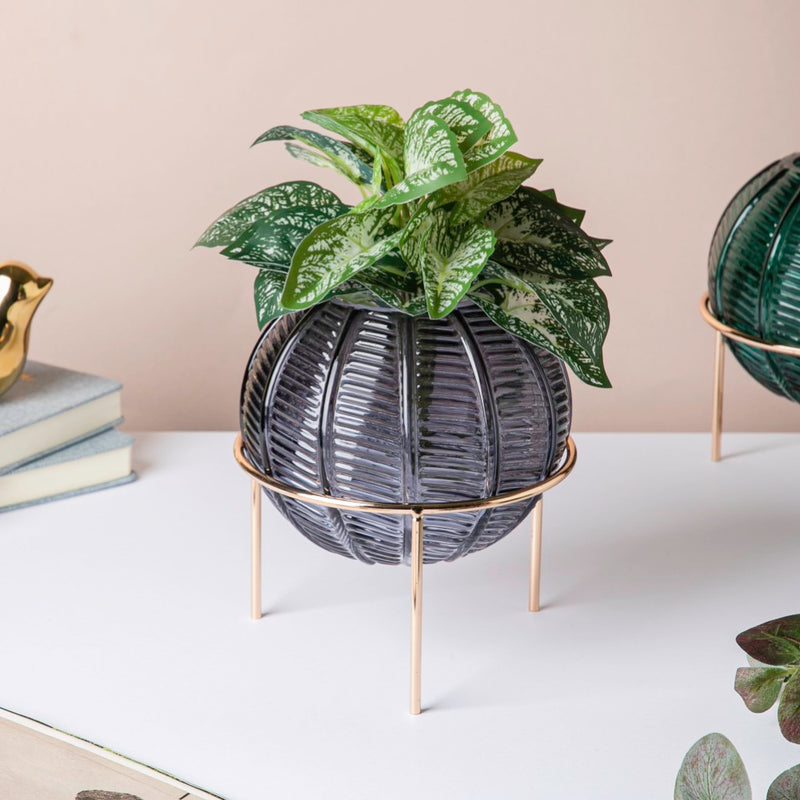 Small Globe Vase - Flower vase for home decor, office and gifting | Home decoration items