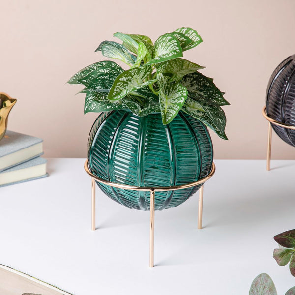 Small Globe Vase - Flower vase for home decor, office and gifting | Home decoration items