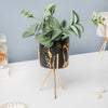 Cacti Frame Marble Ceramic Planter Black - Indoor planters and flower pots | Home decor items