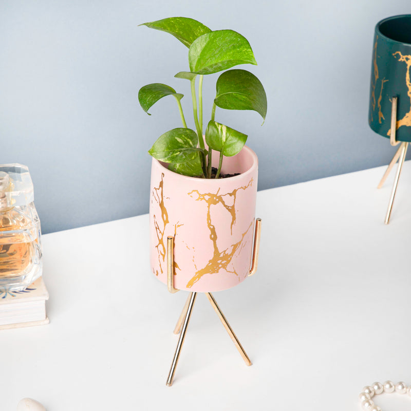 Auric Marble Pink Planter with Stand Large - Indoor planters and flower pots | Home decor items