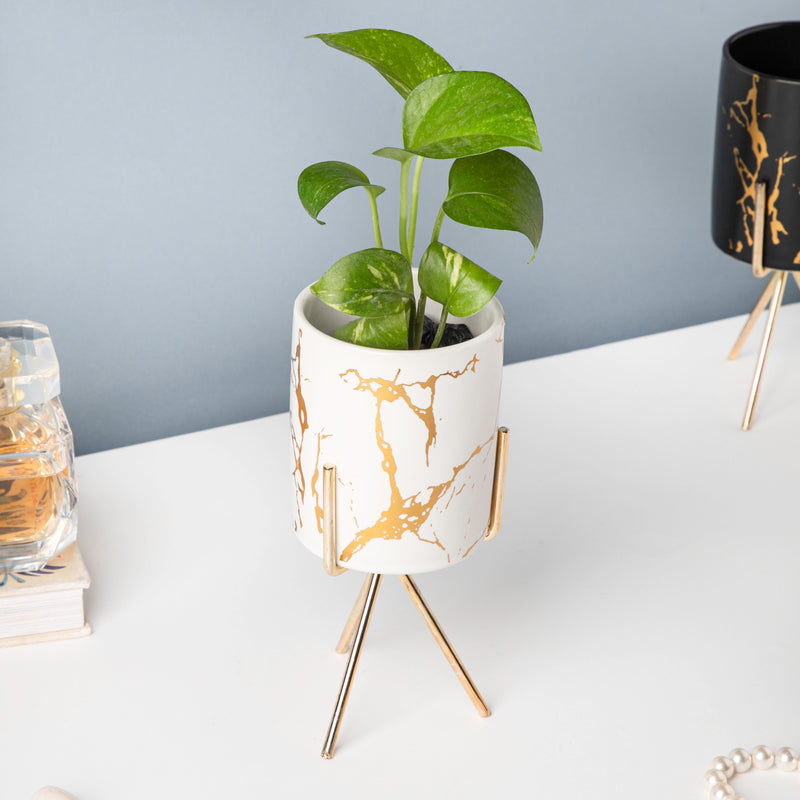 Auric Marble White Planter with Stand Large - Indoor planters and flower pots | Home decor items