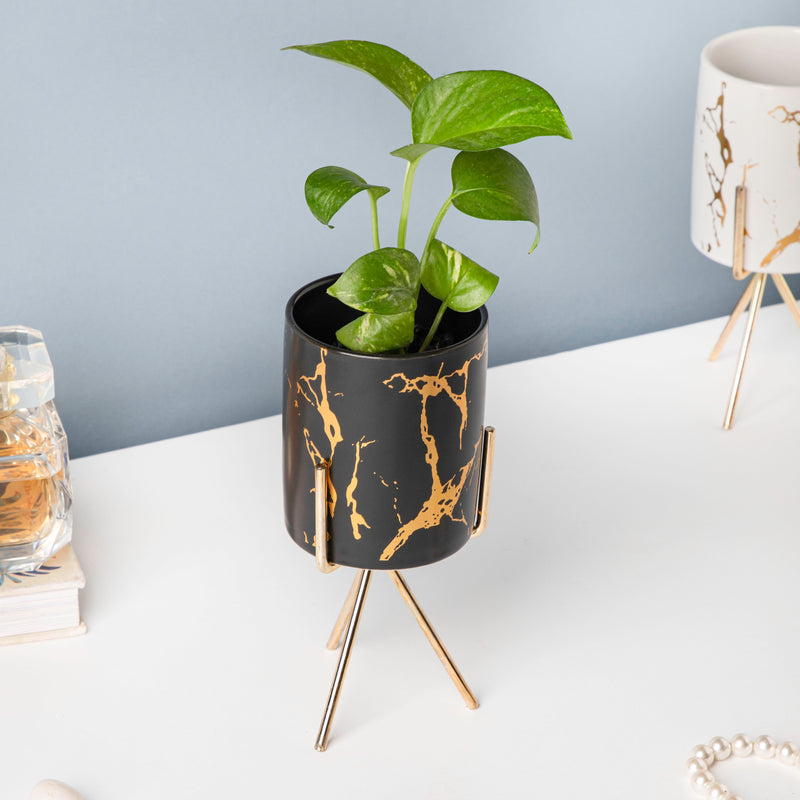 Auric Marble Black Planter with Stand Large - Indoor planters and flower pots | Home decor items