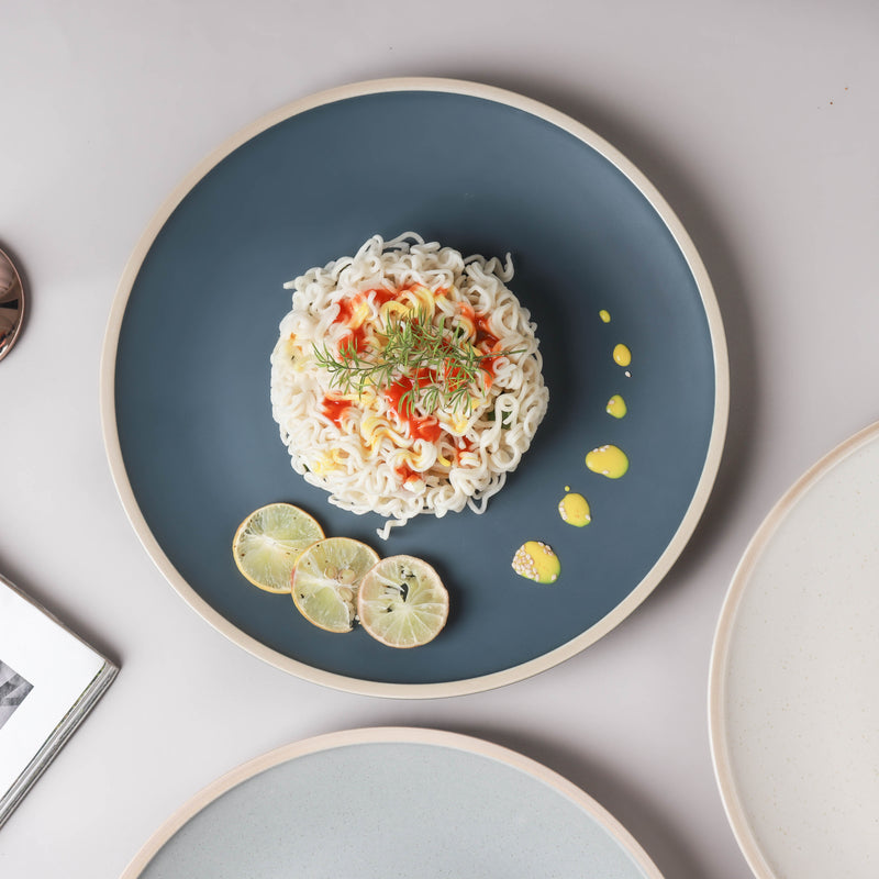 Stoneware Matte Dinner Plate - Serving plate, snack plate, ceramic dinner plates| Plates for dining table & home decor