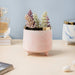 Luxe Ceramic Marble Planter Pink With Legs - Plant pot and plant stands | Room decor items
