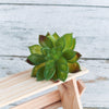 Artificial Succulent Set - Artificial Plant | Flower for vase | Home decor item | Room decoration item