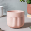 Round Ribbed Plant Pot - Flower vase for home decor, office and gifting | Home decoration items