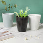 Nordic Black Ribbed Ceramic Planter - Plant pot and plant stands | Room decor items