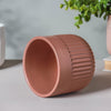 Round Ribbed Plant Pot - Flower vase for home decor, office and gifting | Home decoration items