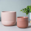 Round Ribbed Plant Pot - Flower vase for home decor, office and gifting | Home decoration items
