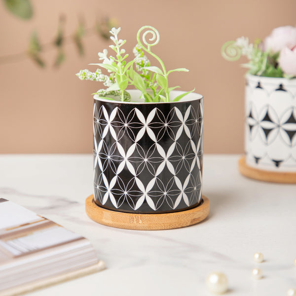 Twyla Diamond Black White Planter With Wooden Coaster - Indoor planters and flower pots | Home decor items