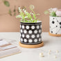 Twyla Hive Black White Planter With Wooden Coaster - Indoor planters and flower pots | Home decor items