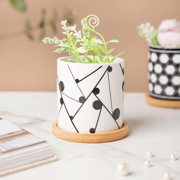 Twyla Starling Black White Planter With Wooden Coaster - Indoor planters and flower pots | Home decor items