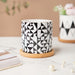 Twyla Black White Heaven Planter With Wooden Coaster - Indoor planters and flower pots | Home decor items