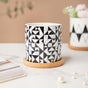 Black & White Medley Ceramic Planter With Coaster Set Of 8- Indoor planter, ceramic planter, planter for home, indoor plant pots