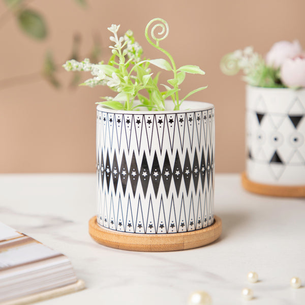 Black & White Medley Ceramic Planter With Coaster Set Of 8