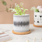 Black & White Medley Ceramic Planter With Coaster Set Of 8- Indoor planter, ceramic planter, planter for home, indoor plant pots