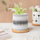 Twyla Starry Night Black White Planter With Wooden Coaster