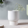 White Ceramic Plant Pot - Flower vase for home decor, office and gifting | Home decoration items