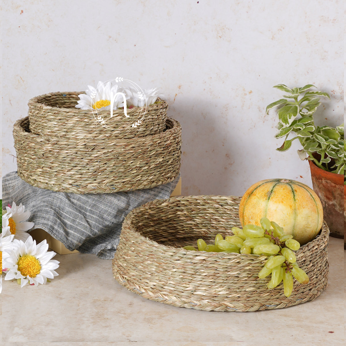 Kitchen Baskets Buy Kitchen Organization Baskets Online Nestasia