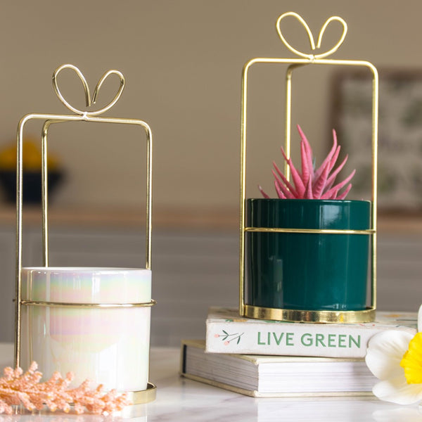 Gift Wrap Planter - Indoor planters and flower pots | Home decor items