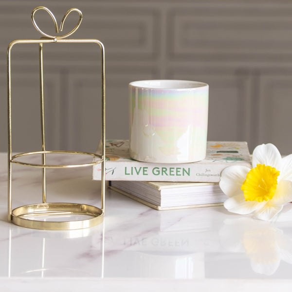 Gift Wrap Planter - Indoor planters and flower pots | Home decor items