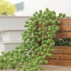 Hanging Artificial Plant - Artificial Plant | Flower for vase | Home decor item | Room decoration item