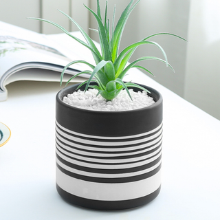 Striped Black and White Vase