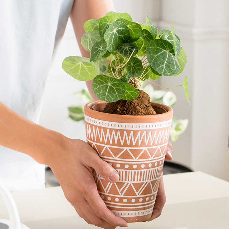 Brown And White Textured Plant Pot - Indoor planters and flower pots | Home decor items