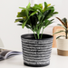 White Abstract Lines Black Pot - Indoor planters and flower pots | Home decor items