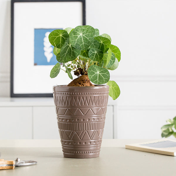 Brown Texture Plant Pot - Indoor planters and flower pots | Home decor items