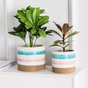 Multicolour Plant Pot Set Of 3 - Plant pot and plant stands | Room decor items