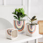 Rainbow Square Pot Medium - Indoor planters and flower pots | Home decor items