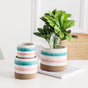 Multicolour Plant Pot Set Of 3 - Plant pot and plant stands | Room decor items