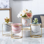 Botanica Marble Pink Planter with Stand - Indoor planters and flower pots | Home decor items