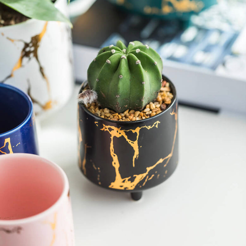 Halcyon Gold Black Marble Ceramic Planter With Legs Small - Indoor planters and flower pots | Home decor items