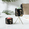 Cacti Frame Marble Ceramic Planter Black - Indoor planters and flower pots | Home decor items