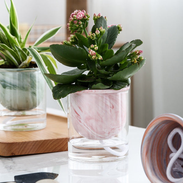Modern Pink Ceramic Planter With Glass Stand - Plant pot and plant stands | Room decor items