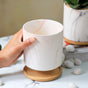 Marble Aura Planter Pot With Coaster Set Of 2