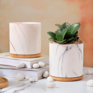 Marble Aura Planter Pot With Coaster Set Of 2
