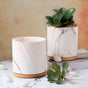 Marble Aura Planter Pot With Coaster Set Of 2