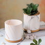 Marble Aura Planter Pot With Coaster Set Of 2