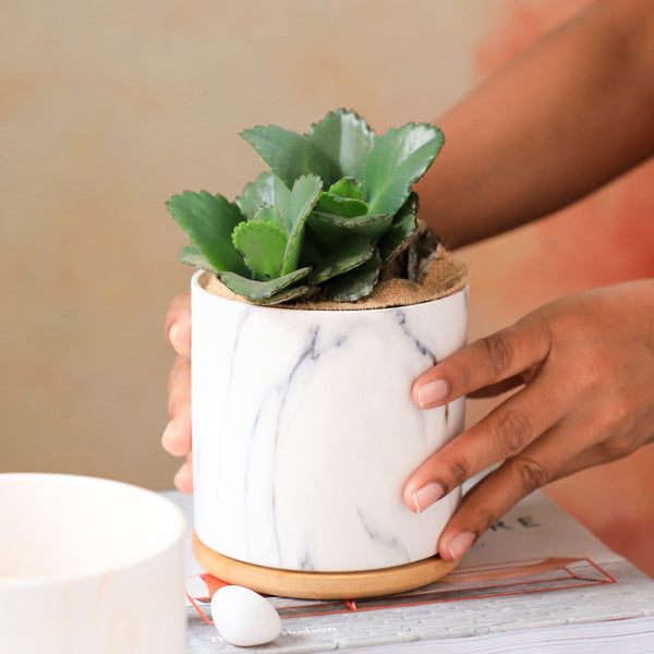 Marble Aura Planter Pot With Coaster Set Of 2