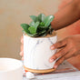 Marble Aura Planter Pot With Coaster Set Of 2