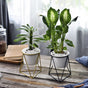 Metal Planter - Plant pot and plant stands | Room decor items