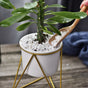 Metal Planter - Plant pot and plant stands | Room decor items