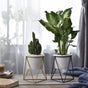 Metal Planter - Plant pot and plant stands | Room decor items