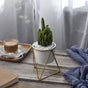 Metal Planter - Plant pot and plant stands | Room decor items