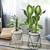 Metal Planter - Plant pot and plant stands | Room decor items